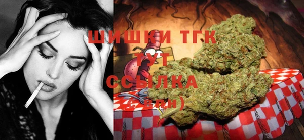 индика Алзамай