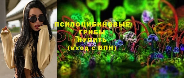 индика Алзамай