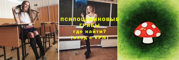 дурь Алексеевка