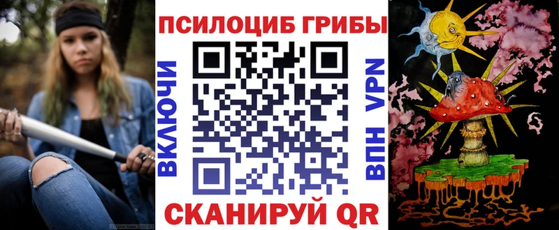 Галлюциногенные грибы Psilocybine cubensis  купить   Ардатов 